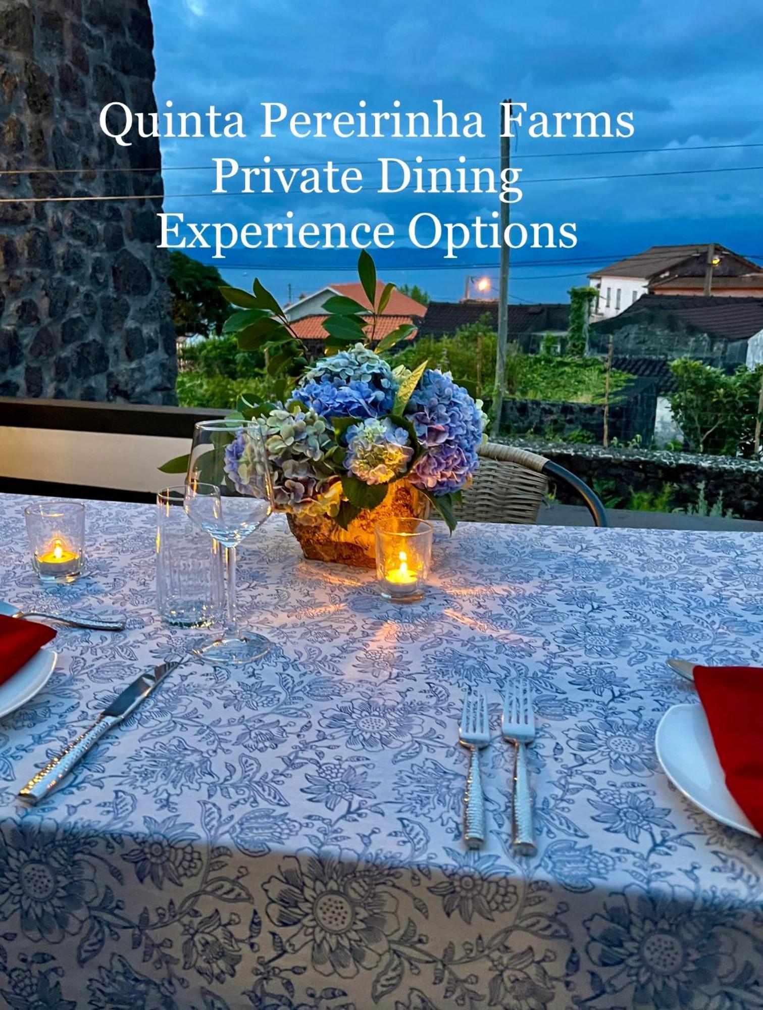 Quinta Pereirinha Farm - A Private 3 Bedroom Vacation Home, Close To Hiking W Ocean Views - Pico Island, Azores São Roque do Pico Екстериор снимка
